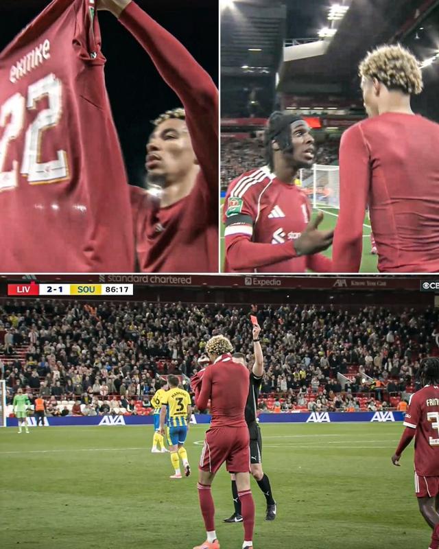 每日邮报, 据英媒, do 每日邮报, 据英媒, do