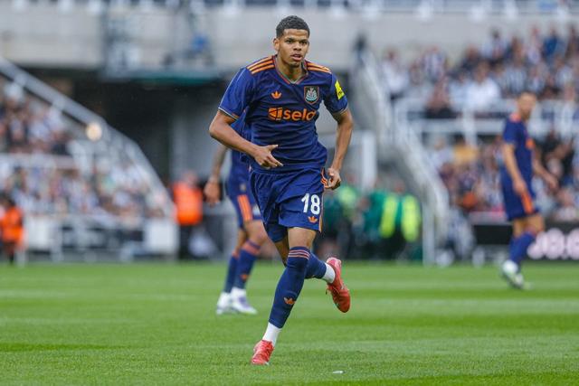 美编, 示窗和拉动, 出道即巅峰